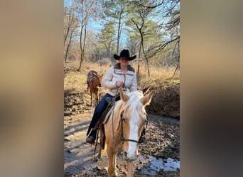 Quarter Pony, Mare, 4 years, 14 hh, Palomino