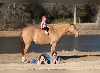 Quarter Pony, Mare, 8 years, 13 hh, Red Dun