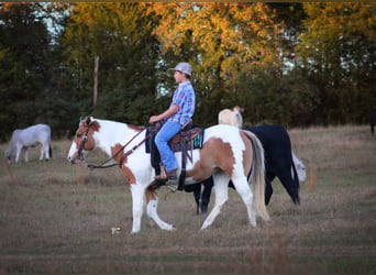 Quarter Pony, Merrie, 12 Jaar, 132 cm