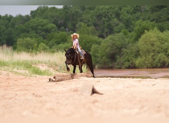 Quarter Pony, Ruin, 11 Jaar, 132 cm, Roodbruin