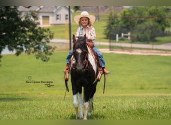 Quarter Pony Mix, Ruin, 12 Jaar, 127 cm, Gevlekt-paard