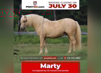 Quarter Pony, Ruin, 12 Jaar, 127 cm, Palomino
