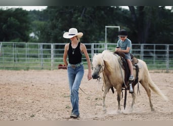 Quarter Pony, Ruin, 12 Jaar, 127 cm, Palomino