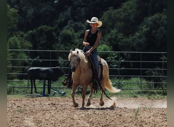 Quarter Pony, Ruin, 12 Jaar, 127 cm, Palomino
