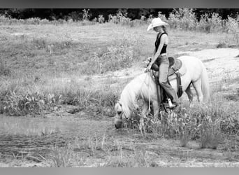 Quarter Pony, Ruin, 12 Jaar, 127 cm, Palomino