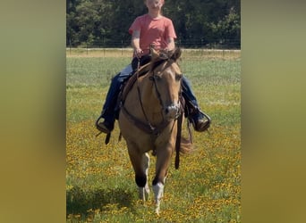 Quarter Pony, Ruin, 9 Jaar, Gevlekt-paard
