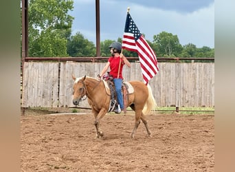 Quarter Pony, Stute, 10 Jahre, Palomino