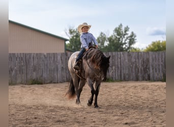 Quarter Pony, Wałach, 4 lat, 140 cm, Karodereszowata