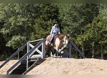 Quarter Pony, Wałach, 4 lat, 137 cm, Jelenia