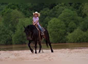 Quarter Pony, Wallach, 11 Jahre, 132 cm, Rotbrauner