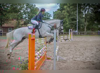 Reitbeteiligung gesucht