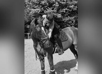 Reiter sucht eine Liebe PB / RB
