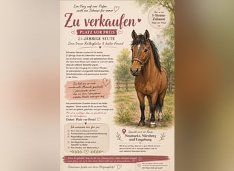 Rijnlander, Merrie, 21 Jaar, 173 cm, Bruin