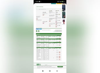 sangre caliente belga, Caballo castrado, 4 años, 170 cm, Alazán