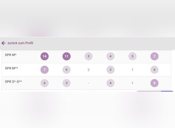 Selle Français, Hongre, 16 Ans, 175 cm, Bai