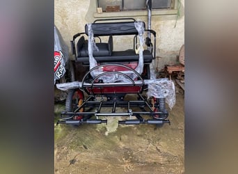 Shetland Ponys, Merrie, 7 Jaar, 102 cm, Zwart