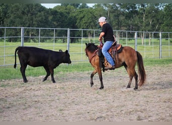 Shetland Ponys, Wallach, 11 Jahre, 117 cm, Rotbrauner