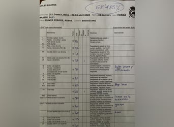 Spaans sportpaard, Ruin, 13 Jaar, 167 cm, Vos