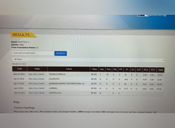 Spaans sportpaard, Ruin, 4 Jaar, 166 cm, Vos