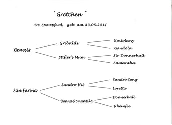 Sportivo Tedesco / Sportivo della Germania, Giumenta, 11 Anni, 170 cm, Baio nero