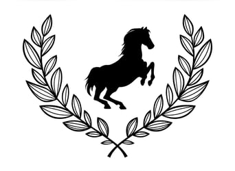 Sportivo Tedesco / Sportivo della Germania, Stallone, 1 Anno