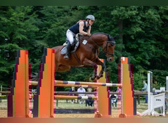 Suche Reitbeteiligung im Umkreis von 71394 Kernen