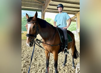 suche Reiteiligung Nähe D-Gerresheim (PLZ 40625)
