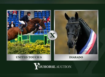 Svedese da Sella, Sconosciuto, Embrione