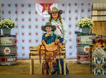 Tennessee Walking Horse, Giumenta, 13 Anni, 152 cm, Sauro ciliegia