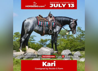 Tennessee walking horse, Mare, 5 years, Roan-Blue