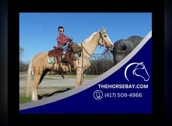 Tennessee walking horse, Merrie, 11 Jaar, 142 cm, Palomino
