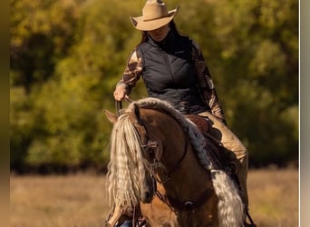 Tinker, Caballo castrado, 16 años, 142 cm, Palomino
