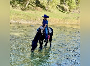 Tinker Mestizo, Caballo castrado, 4 años, 107 cm, Castaño rojizo