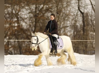 Tinker, Caballo castrado, 8 años, 132 cm, White/Blanco