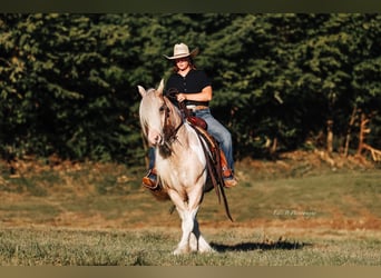 Tinker, Hongre, 10 Ans, 150 cm, Pinto