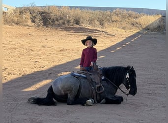 Tinker Croisé, Hongre, 6 Ans, 135 cm, Rouan Bleu