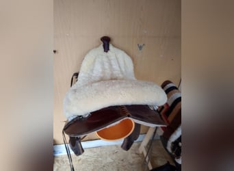 Tinker Croisé, Jument, 17 Ans, 155 cm, Bai brun