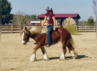 Tinker, Jument, 3 Ans, 140 cm, Alezan brûlé