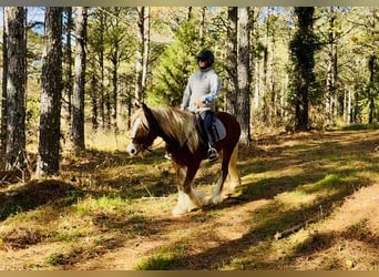 Tinker, Jument, 4 Ans, 140 cm, Alezan brûlé