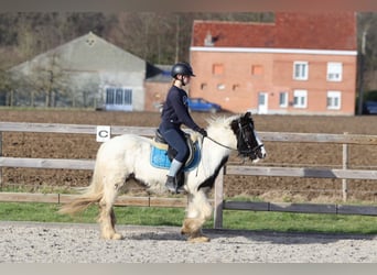 Tinker, Klacz, 5 lat, 133 cm, Srokata