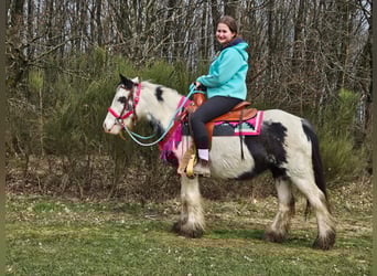 Tinker, Klacz, 5 lat, 135 cm, Srokata