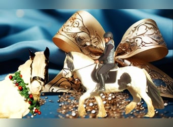 Tinker, Merrie, 15 Jaar, 147 cm, Gevlekt-paard