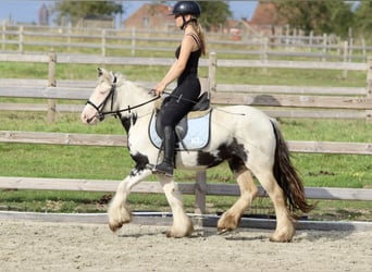 Tinker, Merrie, 4 Jaar, 125 cm, Gevlekt-paard