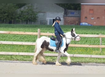 Tinker, Merrie, 4 Jaar, 126 cm, Gevlekt-paard