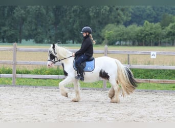Tinker, Merrie, 4 Jaar, 128 cm, Gevlekt-paard