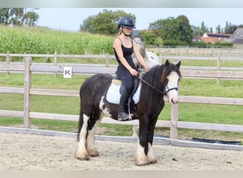 Tinker, Merrie, 5 Jaar, 130 cm, Gevlekt-paard