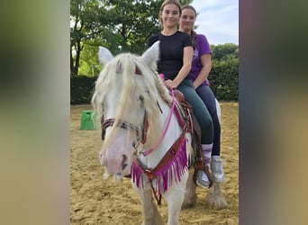 Tinker, Merrie, 7 Jaar, 142 cm, Gevlekt-paard