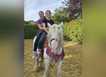 Tinker, Merrie, 7 Jaar, 142 cm, Gevlekt-paard