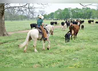 Tinker Mix, Ruin, 4 Jaar, Palomino