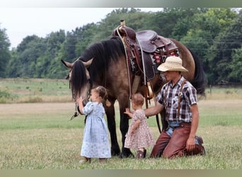 Tinker Mix, Ruin, 5 Jaar, 142 cm, Buckskin